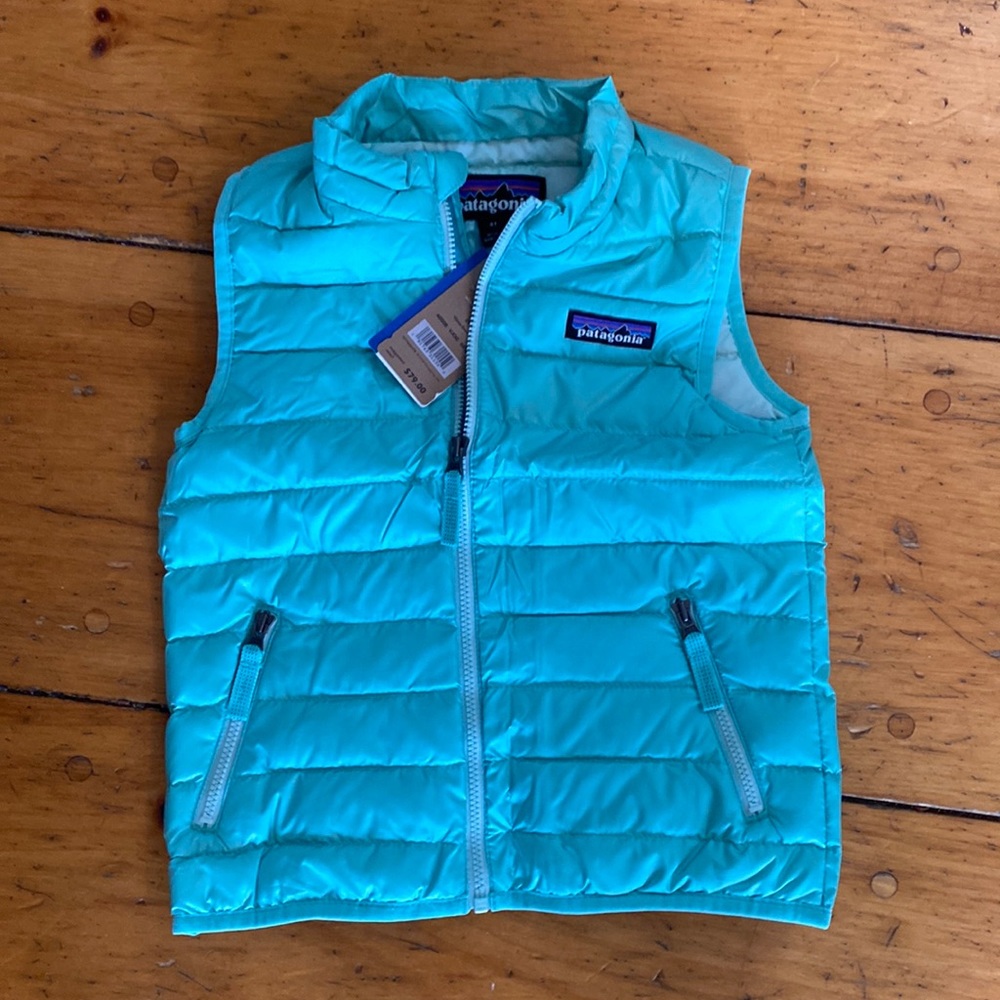 Patagonia Down sweater vest